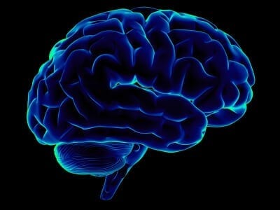 brain-injury-image