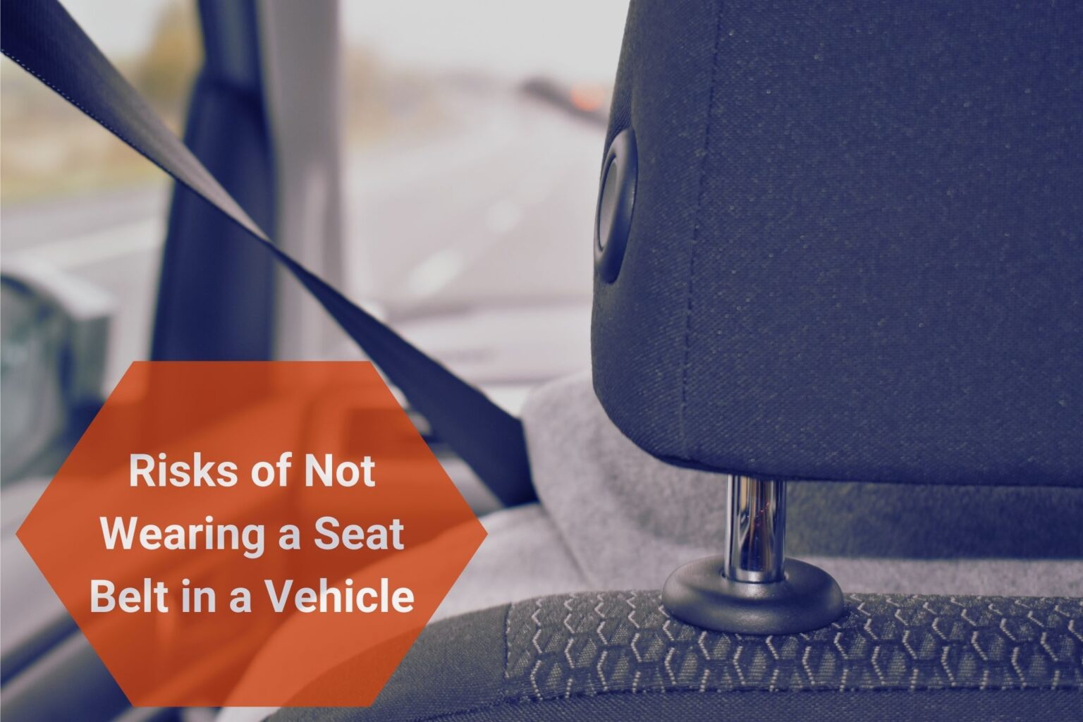 Seat Belt Laws in Florida Are Seat Belts Required in Florida? Front and Back Seat Belts Laws