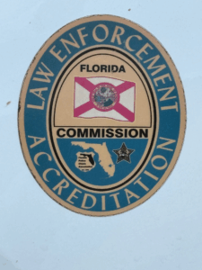 Police chase accident injury